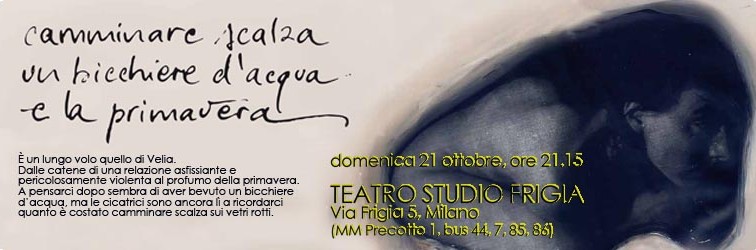Banner_CC_Velia_Ott2012